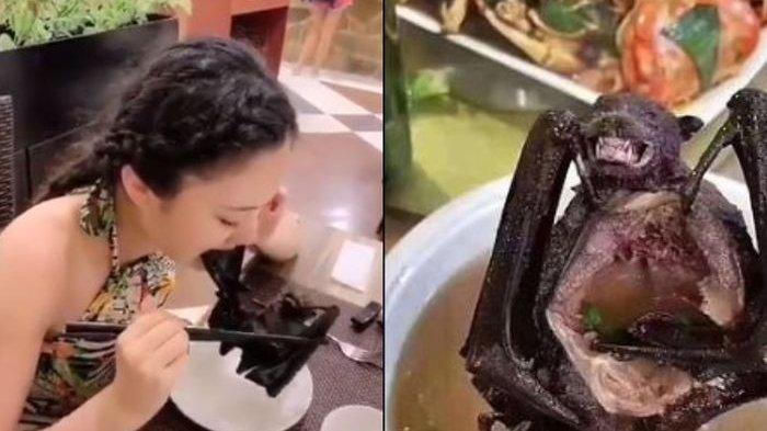 Kuliner Ekstrem Dari Indonesia Yang Menantang Selera