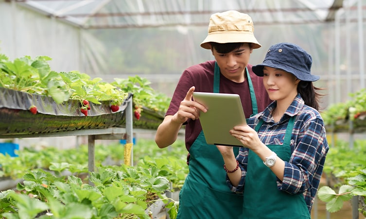 Tips Berbisnis Bidang Pertanian