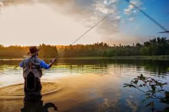 Cara Sukses dengan Bisnis Kolam Pancing Ikan