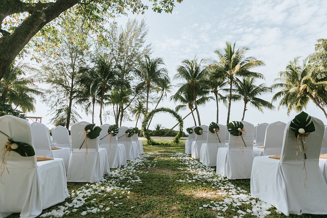 Panduan Bisnis Wedding Organizer