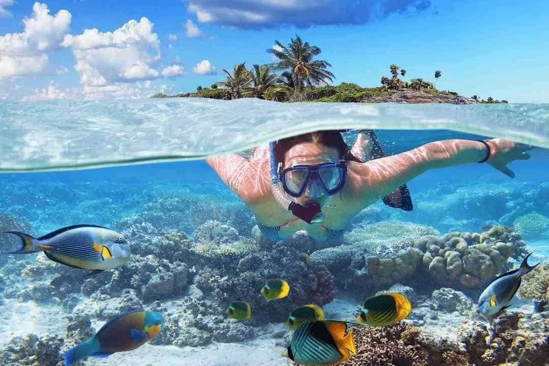 Daftar Spot Snorkeling dan Diving Terindah di Bali - Bali, menjadi salah satu pulau di Indonesia yang paling banyak menarik wisatawan baik dalam negeri maupun luar negeri.